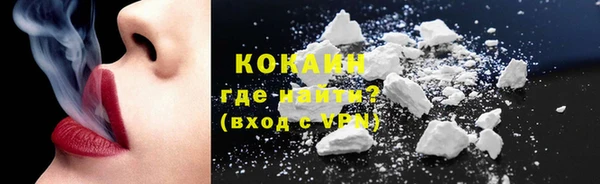 гидра Белокуриха