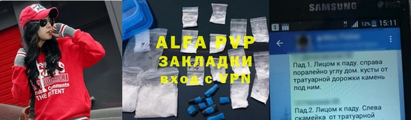 гидра Белокуриха
