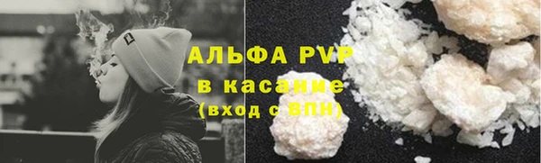 шишки Белоозёрский