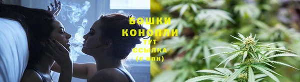 гидра Белокуриха