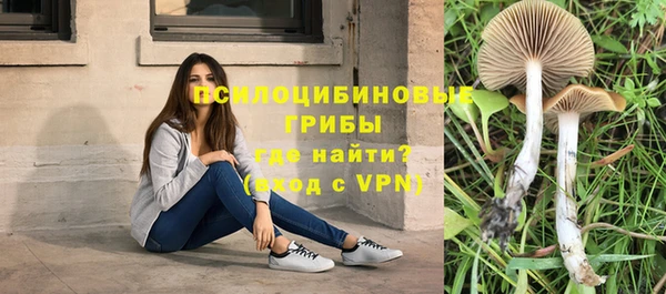 шишки Белоозёрский