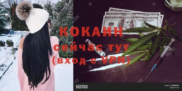 гидра Белокуриха