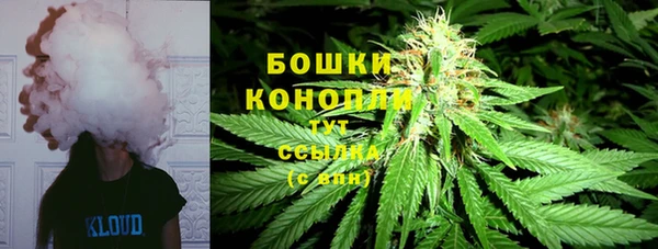шишки Белоозёрский