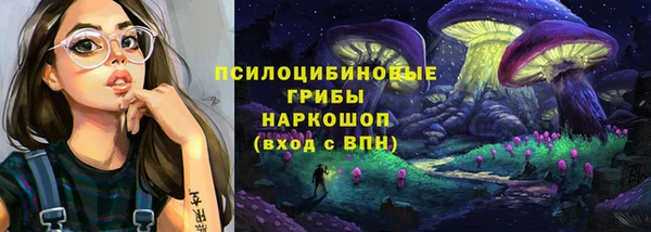 шишки Белоозёрский