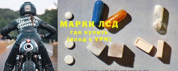 шишки Белоозёрский