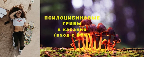 гидра Белокуриха