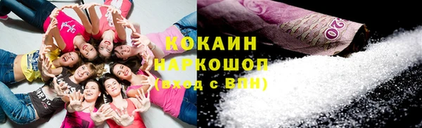 шишки Белоозёрский
