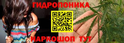 молекула духа Камышлов