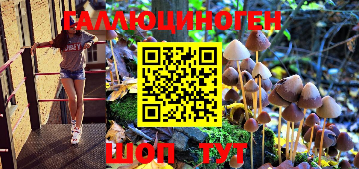 Псилоцибиновые грибы MAGIC MUSHROOMS Малоярославец