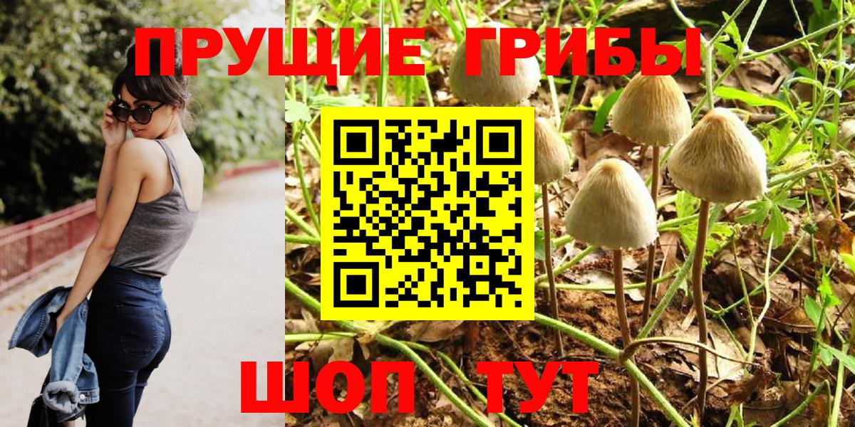 Галлюциногенные грибы прущие грибы  Вход с VPN  Малоярославец  Псилоцибиновые грибы MAGIC MUSHROOMS 